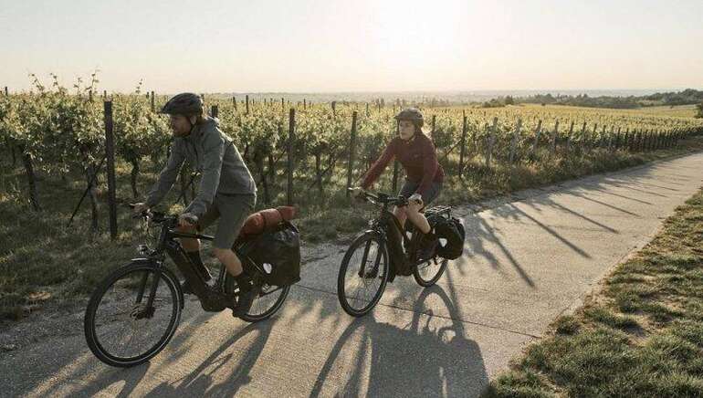 Revbikes Cognac