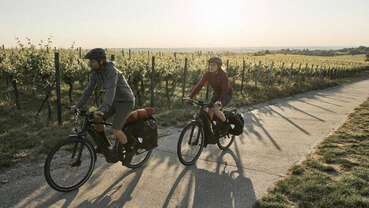 Revbikes Cognac