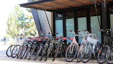 Les vélos de Fouras