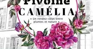 2éme Fête des plantes : Pivoine et Camélia