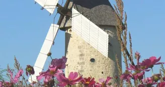Moulin à Vent du Cluzelet