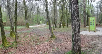 Chemins pédestre de la forêt de Bois Blanc