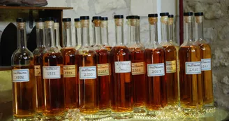 Cognac Cognac Rémy Couillebaud