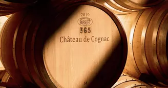 Château de Cognac - Maison des cognacs  BARON OTARD & D'USSÉ