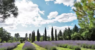 Les jardins du Coq
