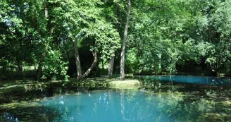 Les Fontaines Bleues - Parc et Jardin du Château de Beaulon
