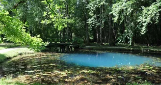 Les Fontaines Bleues - Parc et Jardin du Château de Beaulon