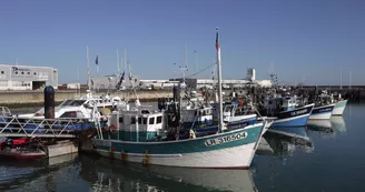 Port de pêche Chef de Baie - La Rochelle