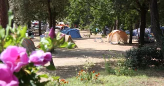 Camping La Palombière