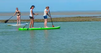 Stand Up Paddle : Exploration du Marais de Soumard