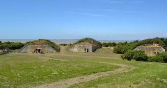 Fort de l'Île Madame - Les Cabanes de l'Estuaire