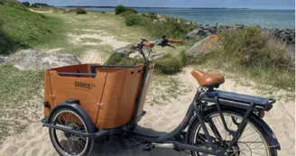 Beach Bikes - Ars