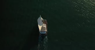 Sortie en catamaran Harmony - Croisières Inter-îles