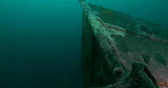 Plongée sous marine par le Nautilus, sorties exploration en mer de juin à septembre