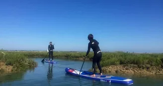 Bouée tractée, ski nautique, wake board par Île de Ré Nautisme