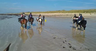Balade à cheval sur la plage (confirmés) avec Equipassion