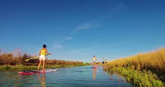 Randonnée en stand up paddle dans les espaces naturels par Sup Évasion