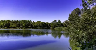 Parcours d'orientation bleu - Le Lac de Saint-Palais