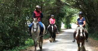 Balade à cheval en Forêt (débutants) avec Equipassion