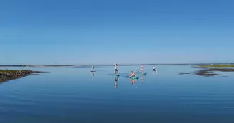 Randonnée en stand up paddle dans les espaces naturels par Sup Evasion à Loix
