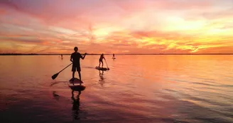 Randonnée en stand up paddle dans les espaces naturels par Sup Evasion à Loix