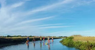 Randonnée en stand up paddle dans les espaces naturels par Sup Evasion aux Portes
