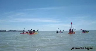 Location de kayak, paddle et paddle géant - Antioche Kayak