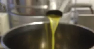 Moulin à huile d'olive Froment