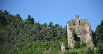 Ruines du château de Peychelard