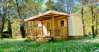 Roulottes au camping du Lion