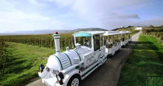 Le Petit Train des Vignes de l'Hermitage