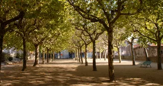 Parc des Platanes