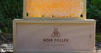 Noir Pollen, apiculteur