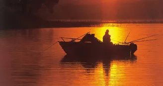 pêche-en-eau-douce7-grands-lacs-landes