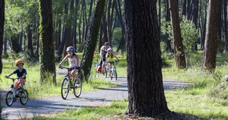 velo-pistes-cyclables-foret-bisca