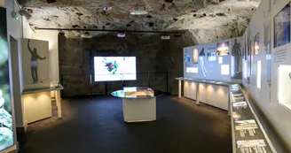 Musée de l'alpinisme