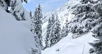 Domaine skiable de la Flégère