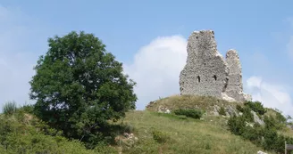 Château de Montaillou