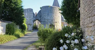 Forteresse médiévale et village de Yèvre-le-Châtel