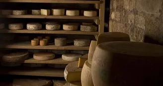Bordeaux Walking Tour