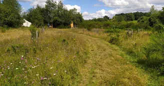 Cabane insolite à la ferme