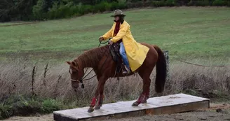 NAHANI RANCH-Mountain Trail "Equitation western comportementale"_7