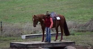 NAHANI RANCH-Mountain Trail "Equitation western comportementale"_9