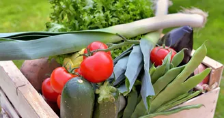 Verdures, légumes bio du Plateau_1