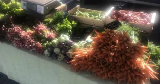 Les légumes de Legaud_4