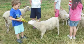 Les sabots de laine à St Hilaire Bonneval_7