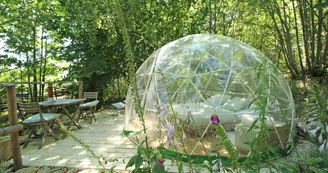 La bulle des Bois de Saint Auvent à La Geneytouse en Haute-Vienne (Nouvelle Aquitaine)_7