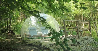 La bulle des Bois de Saint Auvent à La Geneytouse en Haute-Vienne (Nouvelle Aquitaine)_2