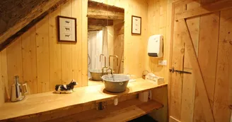 Les Hauts de Fressanges à Vicq sur breuilh - la chambre Grenier - salle d'eau_21