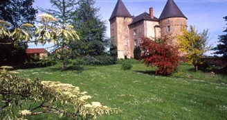 Gite" La Grange Neuve" à Champagnac La Riviere en Haute-Vienne, le chateau de Brie _23